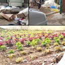 개운동 행정복지센터 이미지