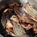 장고도2 이미지