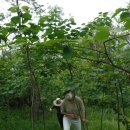 효성매점 이미지