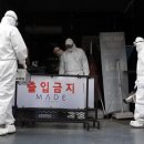 대학동-19 이미지