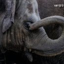 KBT중장비운전학원 네이버블로그