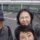 제주도 여행 26.3.5-7 이미지