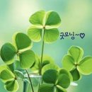 행복한의료기 이미지