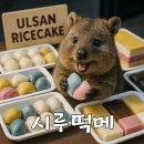 하늘시루떡집 | [울산 떡 맛집] 2대째 정성 담긴 ‘울산 시루떡메’ 앙꼬가래떡 먹어본 솔직 후기 (+전국배송 가능)