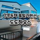 도도펜션 | 강릉 독채풀빌라펜션 도도하우스 아이랑 솔직후기