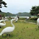 화진포생태박물관 네이버블로그