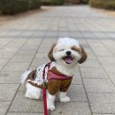 도시숲(석남녹지도시숲) 이미지