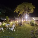 스테이포브 이미지