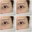 (유)에코 | 온리유 에코시티 속눈썹 펌 후기