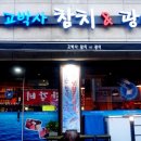 고박사참치광어
