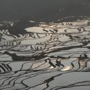 중국 남부 배낭여행기-4부 이미지