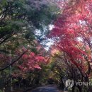 [골목]합창 이미지