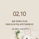 스티카 Daum카페