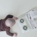 쿨 | 꿈비 유모차쿨시트 추천｜아이스팩까지 시원한 아이스 허그 듀얼팬 쿨시트 후기