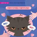 행복한동물병원 이미지