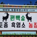 토종흑염소 이미지