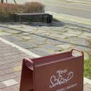 샐러피 이미지