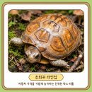 렙쥬프렌즈 - 부평구 장제로 224-1 | 렙쥬프렌즈