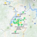 뽀송하개 재워줄개 | ✨잇츠마이벌뜨데이✨