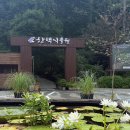 용인나무이야기 | 환경교육사 실무과정 현장탐방｜한택식물원에서 만난 멸종위기식물과 생물다양성 이야기