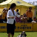 삼순이 이미지