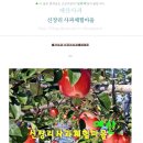 신장리사과마을 이미지