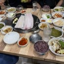 노형바다장어 이미지