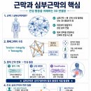 심부근막과 긴장통합체 이미지