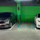 별망시래기 이미지