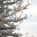 계명대학교 대명캠퍼스 이미지