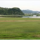 정종대왕태실비 | [두위지맥 끝자락]동강-여우고개-계족산-삭도안부-정양리-동강