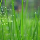 나와 만나는 시낭송 이미지