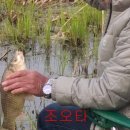 청미천 4 티스토리