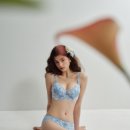 고급란제리