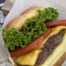 버거나라 이미지