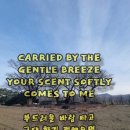 Blue sky, white clouds(파란하늘 하얀구름) 이미지