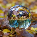 쉬즈산부인과의원 이미지