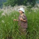 호동골공원 이미지