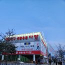 다팜MALL 이미지