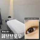 페브 - 남구 대륙1길 14-1 | 울산 우정동 유지력 미친 속눈썹펌 맛집 <페브브로우> 솔직 후기