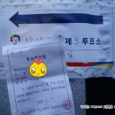 로뎀트리로뎀나무 이미지
