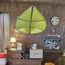 피제리아노이 | 현지인 로컬 태안 맛집 추천 [피제리아노이] 화덕피자 카프리제 내돈내산 후기♡