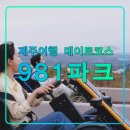 파크션샤인제주관광호텔 | 제주 여행 추천 필수 데이트 코스 9.81 파크 카트&amp;서바이벌 이용권,체험관광