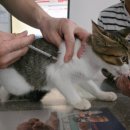 일죽종합동물병원 이미지