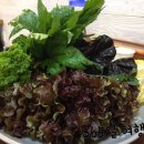 오색쌈밥 이미지