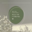 존프랭클 수원주짓수던전 | (수원/의왕주짓수) 주짓수를 배우고 싶으시다면 이렇게 시작해보세요!