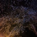 은파호수공원 이미지