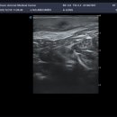 이천동물의료센터 이미지