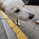 올리브PC방 | 대전 대흥동 은행동 제일 깔끔한 PC방 찾았다, 아이언 PC방 방문기