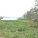 낙동강변27 이미지